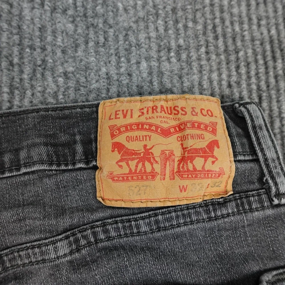 Levis levis 527